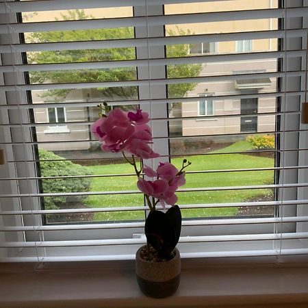 Quite And Cozy 2 Bedroom Apartment Galway Extérieur photo