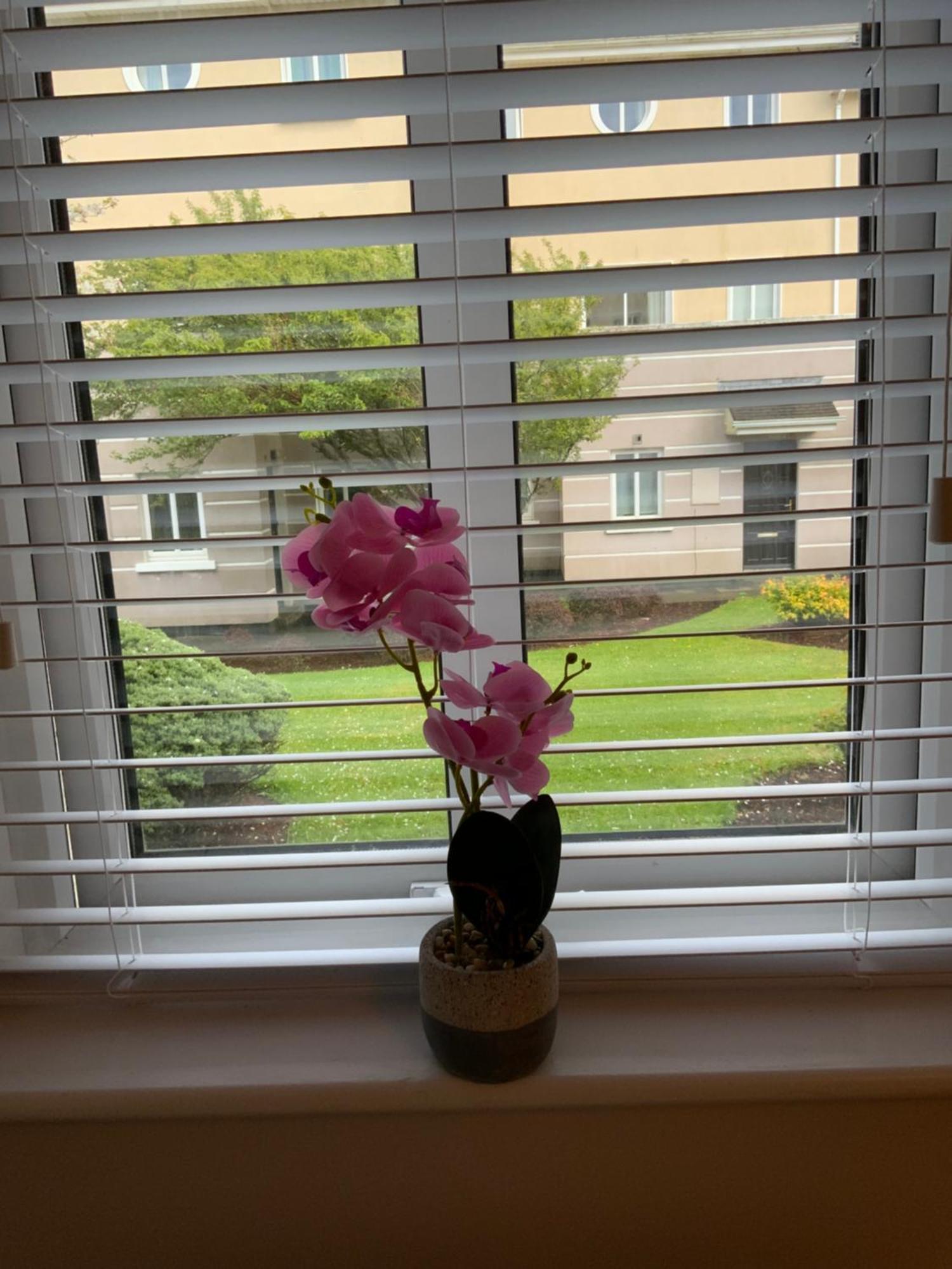 Quite And Cozy 2 Bedroom Apartment Galway Extérieur photo